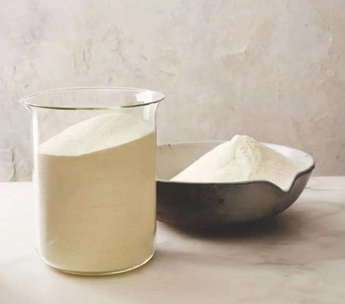 乳制品滲透物粉讓食品輕松實現可 鹽 可 甜