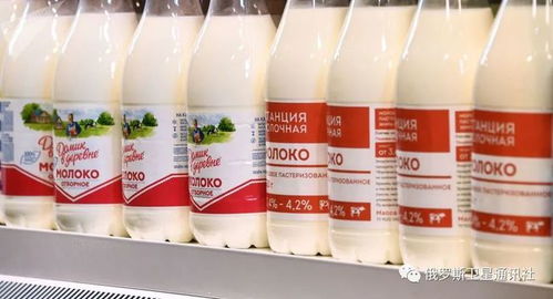 俄乳品廠 中國一直認(rèn)為俄乳制品質(zhì)量好 但市場競爭很激烈