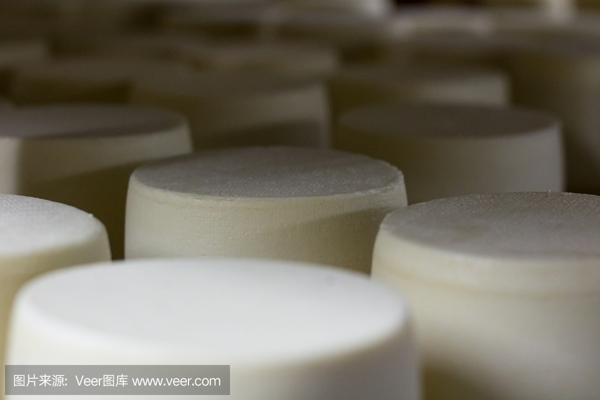 乳制品生產(chǎn)車間,架子上放著成熟的白奶酪頭