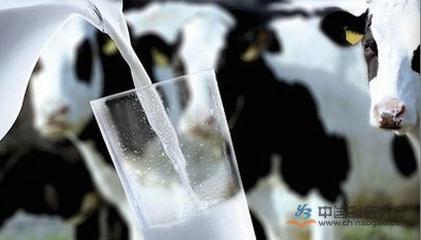 韓國奶粉制造商陷困境 中國市場巨大消費潛力成新突破口|奶粉_中國報告大廳www.chinabgao.com