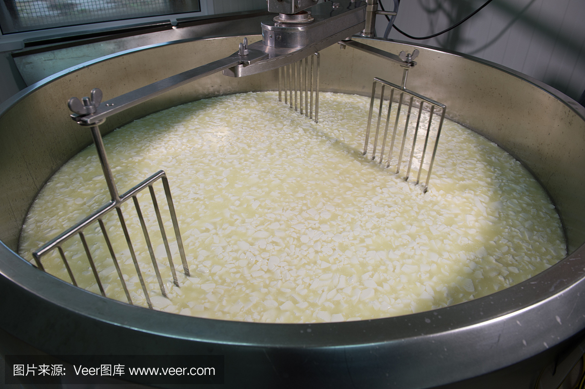 奶酪制作者-在乳品店制作傳統(tǒng)奶酪,