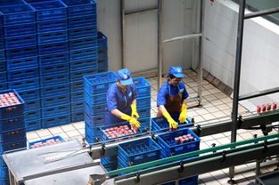 食品生產(chǎn)企業(yè) 透明工廠 體驗(yàn)日走進(jìn)山東得益乳業(yè)零距離感受乳制品生產(chǎn)過程