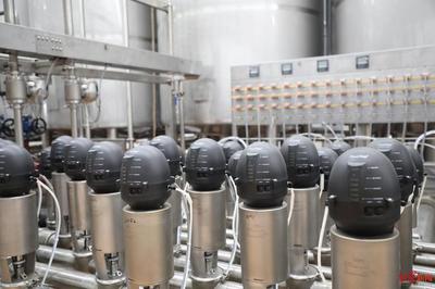 年產12萬噸乳品,全國最大菊樂生產基地即將在成都新津試生產