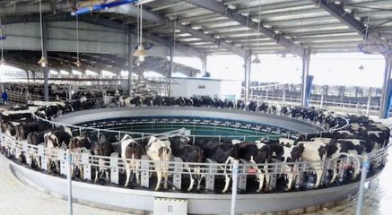 華中最大低溫乳制品工廠升級(jí),光明乳業(yè)數(shù)字化賦能全國化戰(zhàn)略落地
