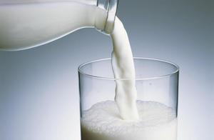 【上海乳制品進(jìn)口海運(yùn)進(jìn)口訂艙代理】價格_廠家_圖片 -